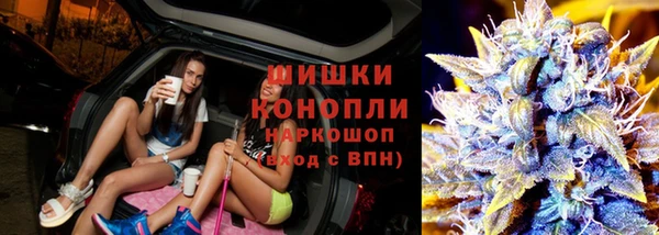 наркотики Бородино