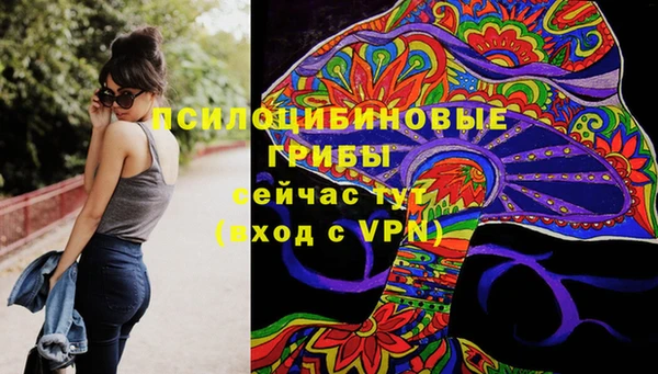 наркотики Бородино