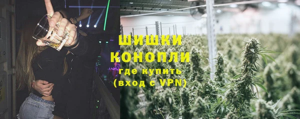 наркотики Бородино