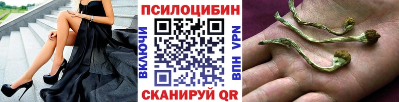 даркнет клад  Бутурлиновка  Псилоцибиновые грибы GOLDEN TEACHER 